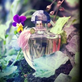 Dear Polly (Eau de Parfum) - Vilhelm Parfumerie