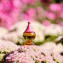 Eine ganze rosa Blumenwelt, passt auf den Kopf gestellt in diesen kleinen Zwerg hinein. Danke an alle Besucher für die Kommentare und Auszeichnungen.
