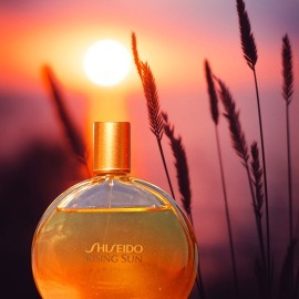 Rising Sun - Shiseido / 資生堂
