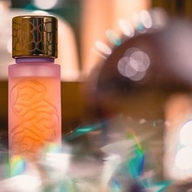 Mûre et Musc Extrême - L'Artisan Parfumeur