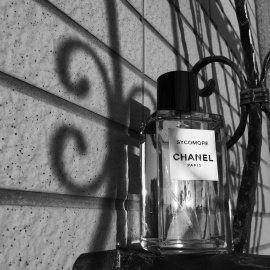 Sycomore (2008) (Eau de Toilette) - Chanel