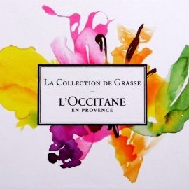 Jasmin & Bergamote - L'Occitane en Provence
