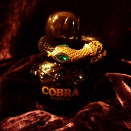 Cobra by Jeanne Arthes