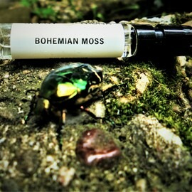 Bohemian Beetle