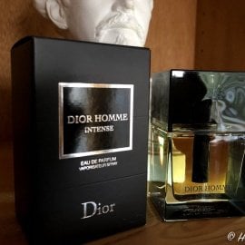 christian dior homme intense review