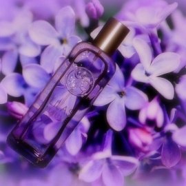 Un Matin au Jardin - Lilas Mauve / Purple Lilac - Yves Rocher
