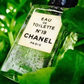 N°19 (Eau de Toilette) - Chanel