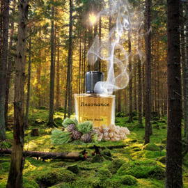 Mossy Soil - JMP Artisan Perfumes