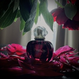 Le Parfum (Eau de Parfum) - Elie Saab