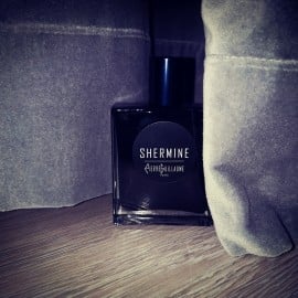 Shermine - Pierre Guillaume