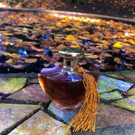 Rococo (2018) - Teone Reinthal Natural Perfume