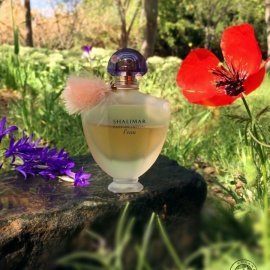 Shalimar Parfum Initial L'Eau by Guerlain