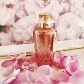 Rose Goldea Blossom Delight (Eau de Parfum) - Bvlgari