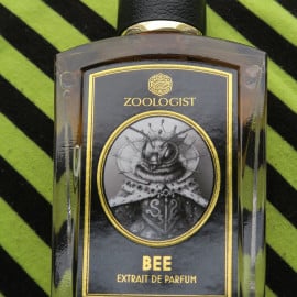 Bee by Zoologist