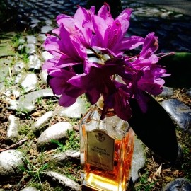 Crown Heliotrope - Crown Perfumery
