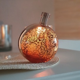 Elixir des Merveilles Édition Collector by Hermès