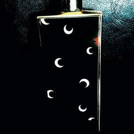 Escales Extraordinaires - Moon Leather (Eau de Parfum) - Memo Paris