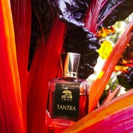 Tantra - Teone Reinthal Natural Perfume