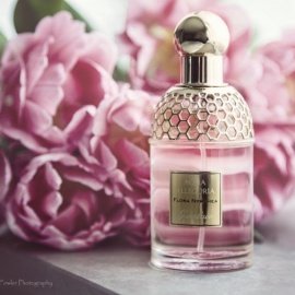 Indigo Vanilla - En Voyage Perfumes