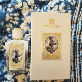 Musk Deer Limited Edition - Zoologist