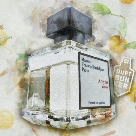Amyris Homme (Extrait de Parfum) - Maison Francis Kurkdjian