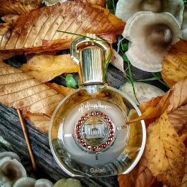 Safran Troublant - L'Artisan Parfumeur