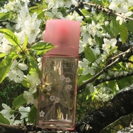 Green Tea Cherry Blossom - Elizabeth Arden