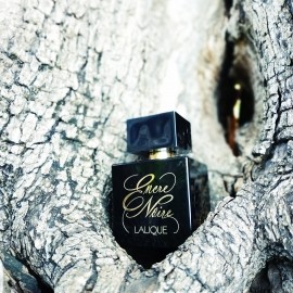 Encre Noire pour Elle by Lalique