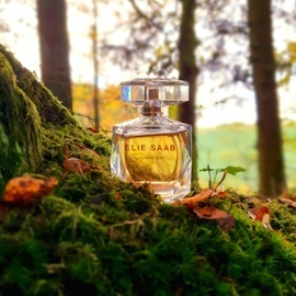 Elixir d'Amour - Parfums d'Elmar
