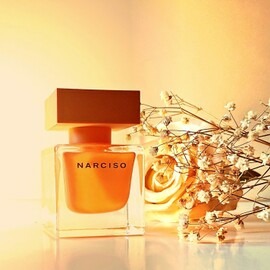 Narciso (Eau de Parfum Ambrée)