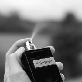 Y (Eau de Parfum) - Yves Saint Laurent