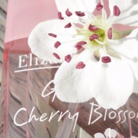Green Tea Cherry Blossom by Elizabeth Arden