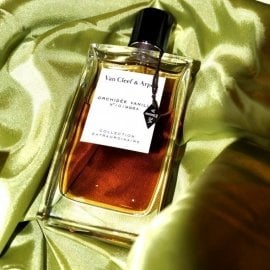 Collection Extraordinaire - Orchidée Vanille by Van Cleef & Arpels