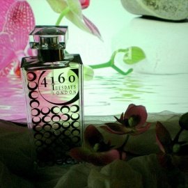 Centrepiece (Eau de Parfum) - 4160 Tuesdays