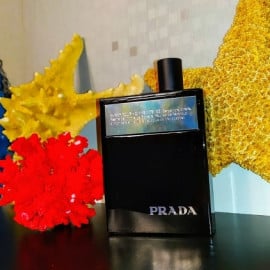 Amber pour Homme Intense by Prada