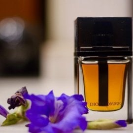 Dior Homme Parfum in India