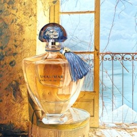 Sweetie Aoud - Roja Parfums