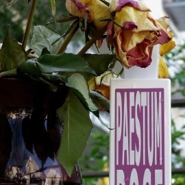 Paestum Rose - Eau d'Italie