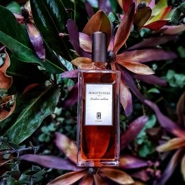 Timbuktu - L'Artisan Parfumeur