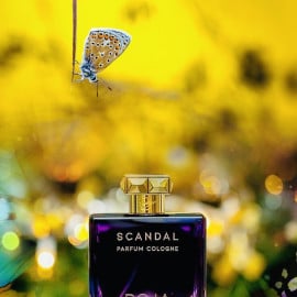 Scandal (Parfum Cologne) by Roja Parfums