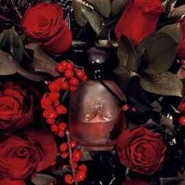 Secrets de Rose - Les Parfums de Rosine