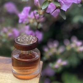 Amber Elixir - Oriflame