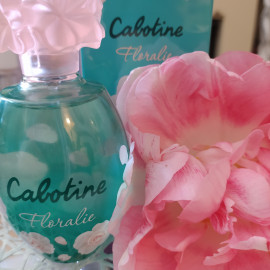 Cabotine Floralie - Grès