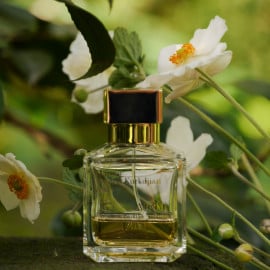 APOM Femme (Eau de Parfum) - Maison Francis Kurkdjian