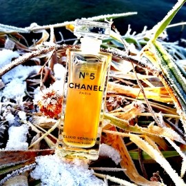 Am See, 3 Uhr Nachmittag, 2 Grad Minus, doch dir ist warm, Chanel