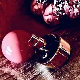 Want Pink Ginger by Dsquared²