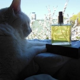 Iris Bleu Gris - Maître Parfumeur et Gantier