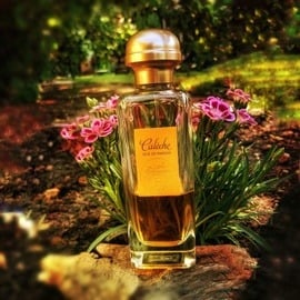 Calèche (Soie de Parfum) - Hermès