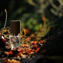 Silver Musk (Extrait de Parfum) von Nasomatto