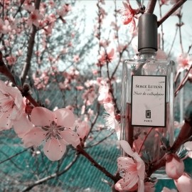 Ôud Bouquet - Lancôme